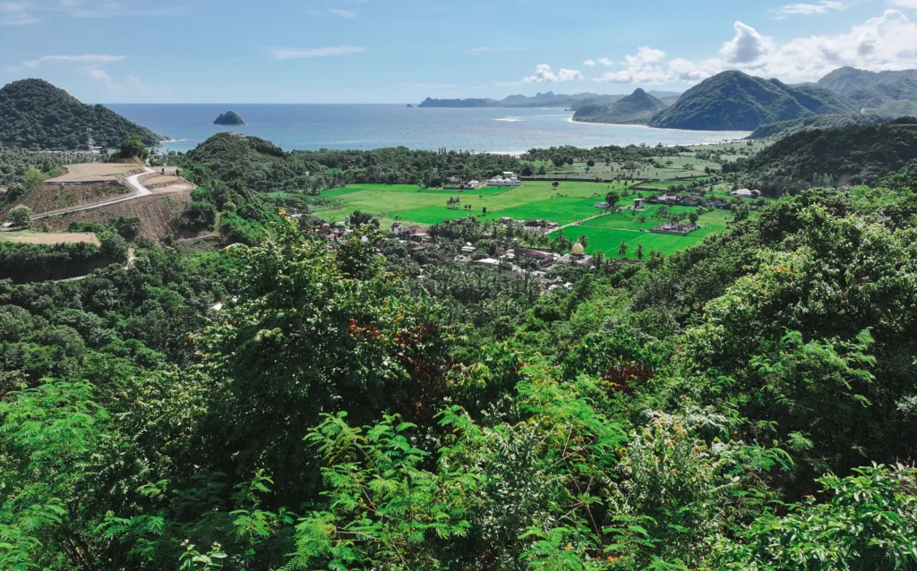 Oceanviewland for sale in Selong Belanak