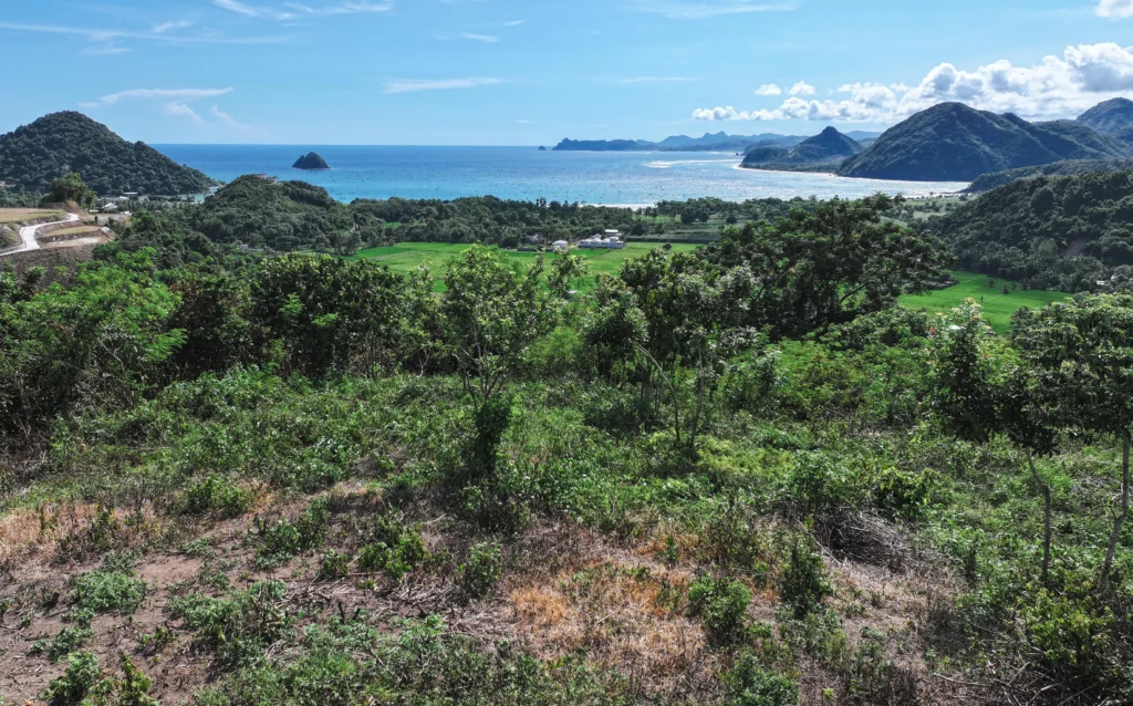 Oceanviewland for sale in Selong Belanak