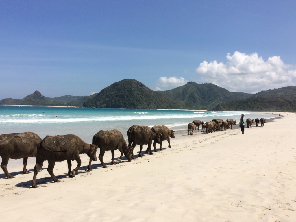 Selong Belanak Beach