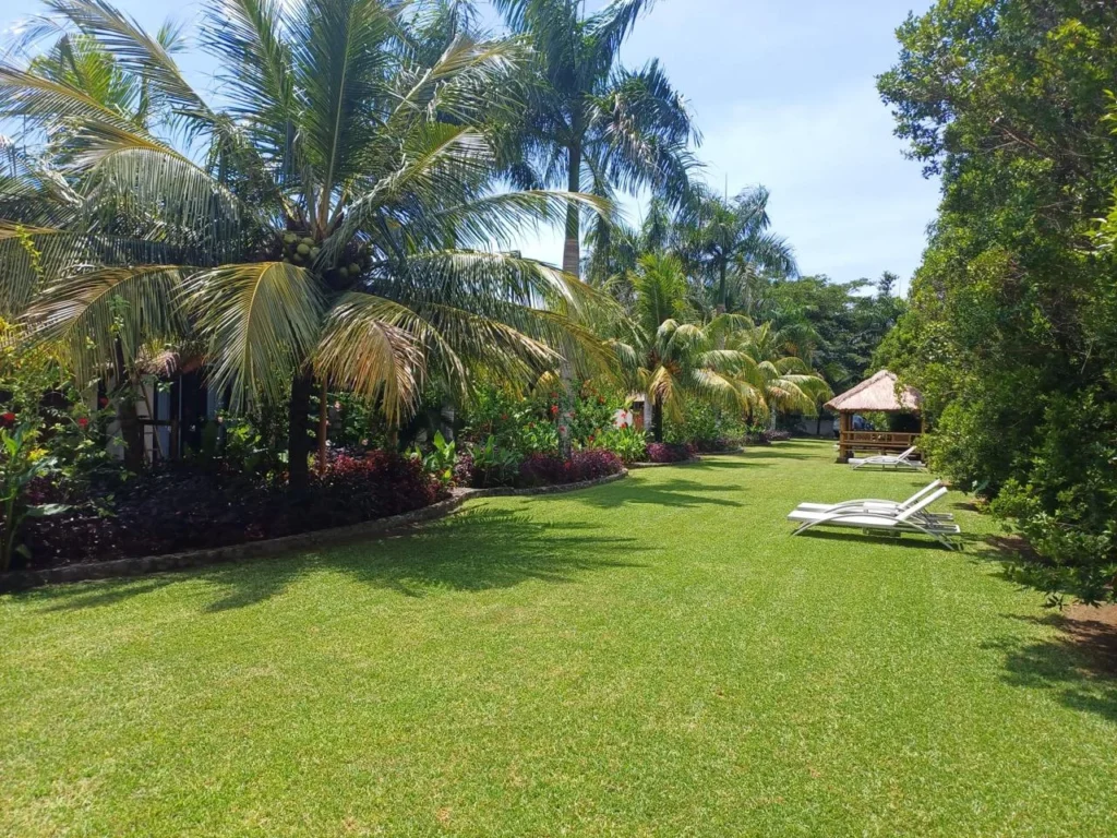 Boutique bungalow complex for sale in Selong Belanak - garden 
