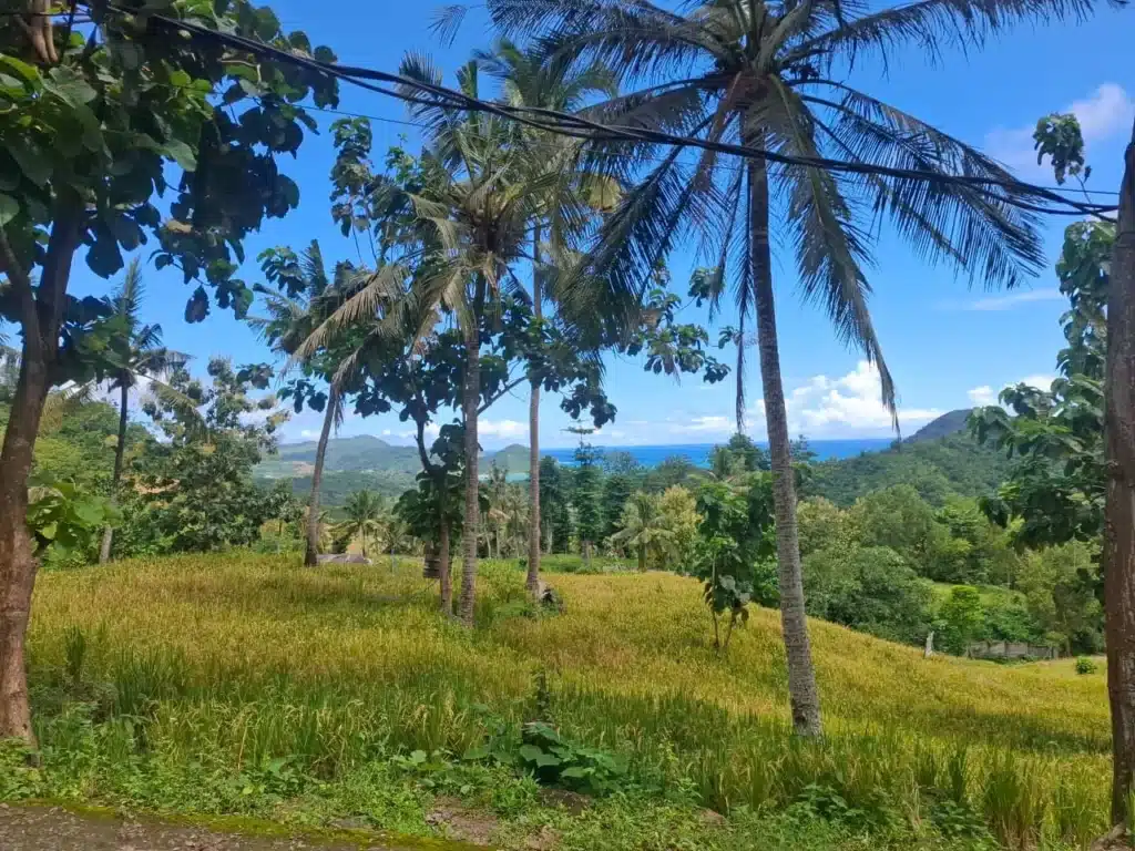 Seaview land for sale above Selong Belanak