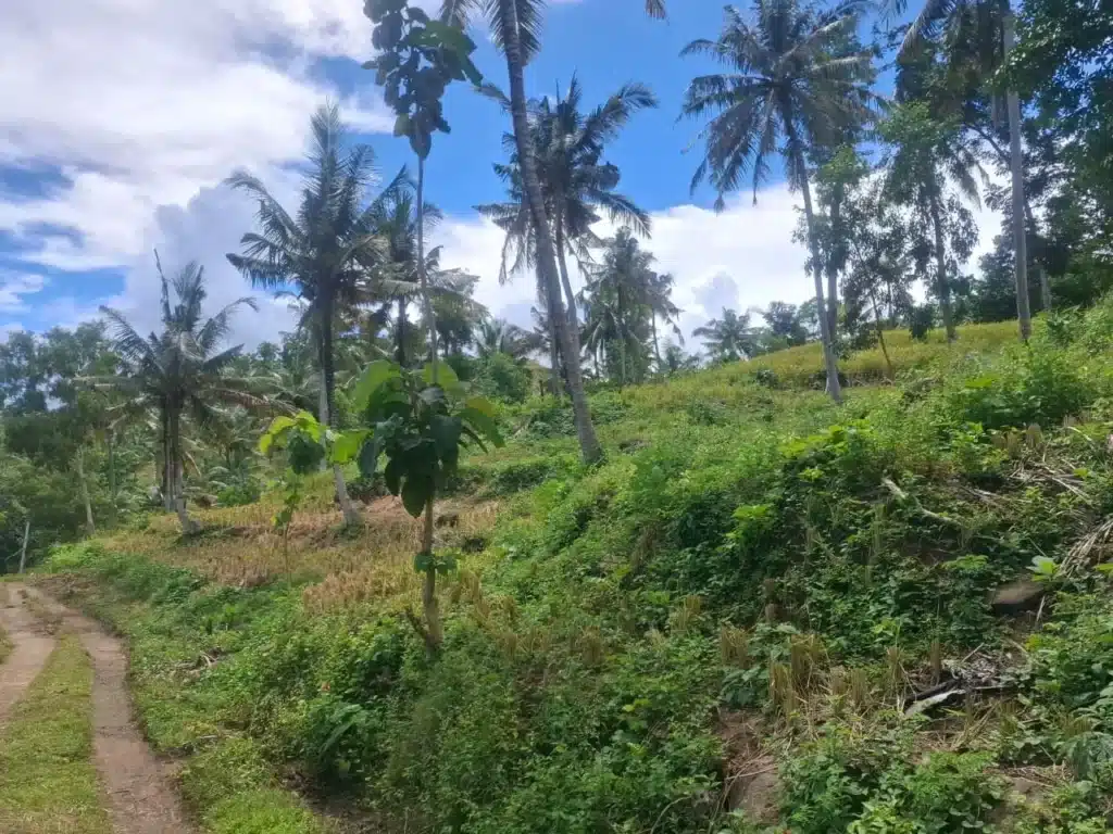 Seaview land for sale above Selong Belanak