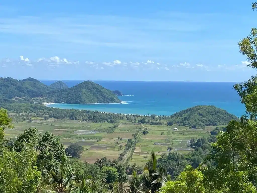 Land for sale above Selong Belanak-view