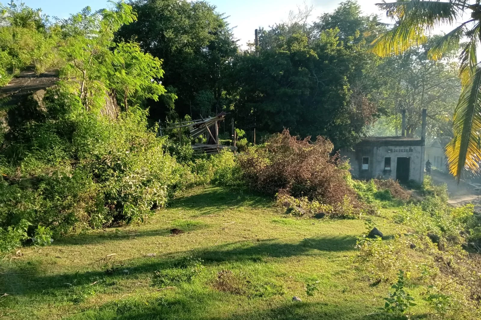 Hilly Land for Sale in Kuta, South Lombok - Investment Opportunity